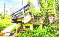 দুই যুগেও সংযোগ সড়ক পায়নি সেতুটি