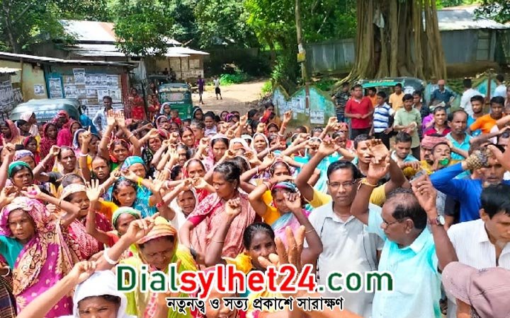 সাপ্তাহিক মজুরির দাবিতে হোসনাবাদ চা বাগানে শ্রমিকদের ধর্মঘট