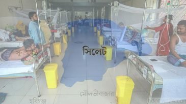 সিলেটে এক মাসে ডেঙ্গু রোগে আক্রান্ত ৪৯৩ জন