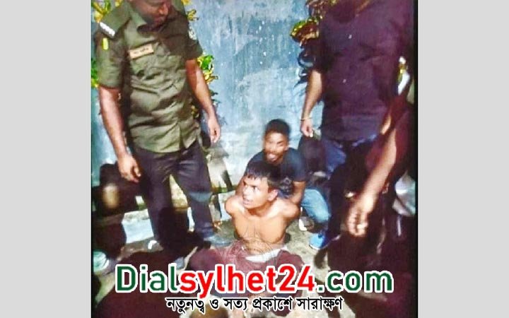 ক্যাম্পাসের ভেতরেই ছিনতাইকারীর হামলার শিকার সিকৃবি ছাত্রী