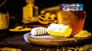 ব্ল্যাক হানি সম্পর্কে যা জানা জরুরি