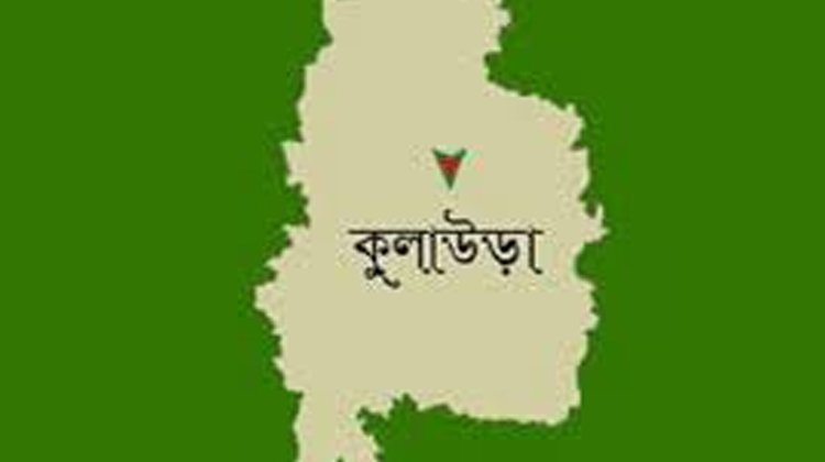 পুকুরের পানিতে ডুবে বৃদ্ধার মৃত্যু