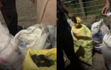 বড়লেখা হাসপাতালের রোগীদের বরাদ্দকৃত খাদ্যসামগ্রী চুরি করে পাচারের সময় আটক ১