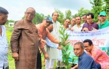 পূজা পরিষদের কেন্দ্রীয় কর্মসূচির অংশ হিসাবে বৃক্ষরোপন
