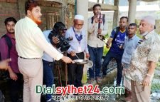 সিলেটের গ্রামেগঞ্জেও ছড়িয়ে পড়েছে এডিস মশা