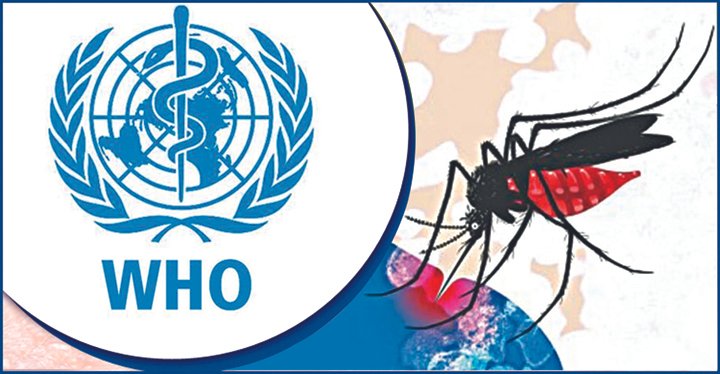 বাংলাদেশে ডেঙ্গুর বিস্তারে বড় বিপদের হাতছানি