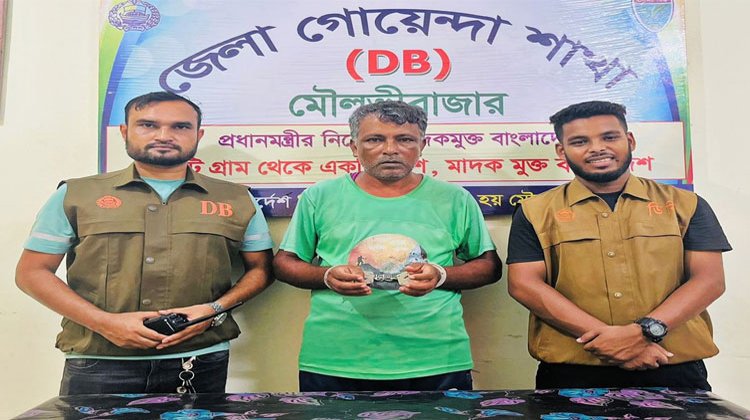 মৌলভীবাজারে ইয়াবাসহ আটক ১