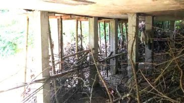 শ্রীমঙ্গলে সরকারি ভুড়ভুড়িয়া ছড়া দখল করে বাড়ি নির্মাণ