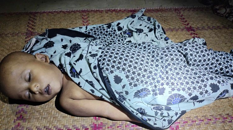 পুকুরে ডুবে এক শিশুর মৃত্যু