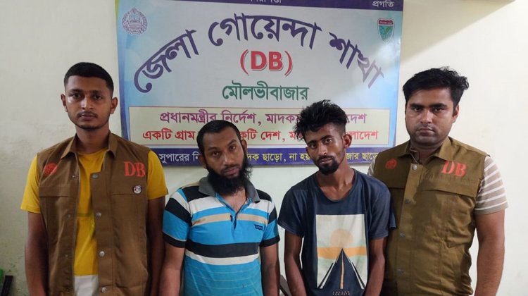 মৌলভীবাজারে গত এক সপ্তাহে ৪১ কেজি গাঁজা, ৮০৭ পিস ইয়াবা, ৮ বোতল ফেনসিডিল উদ্ধার