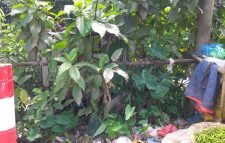 জুড়ীতে ঝুঁকিপূর্ণ বৈদ্যুতিক ট্রান্সফরমার, দুর্ঘটনার শংকা