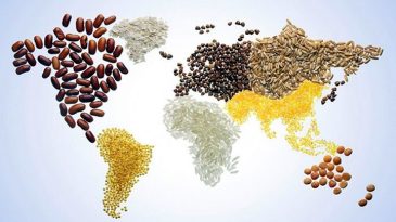 বিশ্ব খাদ্য দিবস আজ