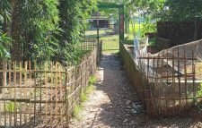 গজভাগ সরকারি প্রাথমিক বিদ্যালয়ের প্রবেশ রাস্তায় বাঁশের বেড়া