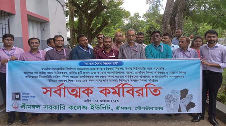 শ্রীমঙ্গলে ক্যাডার বৈষম্য নিরসনসহ বিভিন্ন দাবি আদায়ে কর্মবিরতি