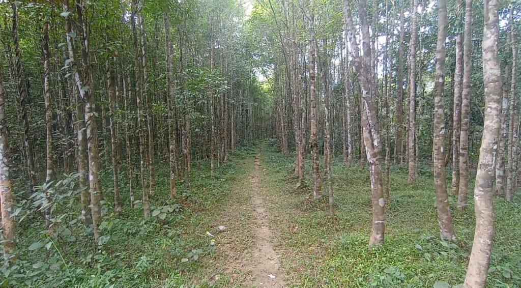 দেশে গ্যাসবিল বৃদ্ধি ও অর্থনৈতিক সংকটে বন্ধ হয়ে যাচ্ছে আগর-আতরের কারখানাগুলো