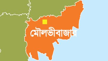 জুড়ীতে বিএনপি নেতা আটক