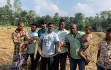 শ্রীমঙ্গলে ধান ক্ষেতে থেকে ১০ ফুট লম্বা এবং ১৩ কেজি ওজনের অজগর সাপ উদ্ধার