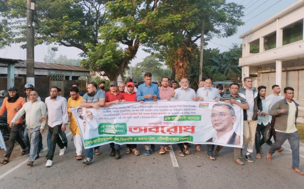 জেলা বিএনপির সাধারণ সম্পাদক ভিপি মিজানুর রহমান এর নেতৃত্বে বিক্ষোভ মিছিল