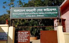 বিজয় দিবসে পর্যটকদের জন্য উন্মুক্ত শ্রীমঙ্গলের সীতেশ বাবুর চিড়িয়াখানা