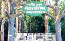 বিজয় দিবসে বিনামূল্যে লাউয়াছড়ায় প্রবেশের সুযোগ পাবেন পর্যটকরা