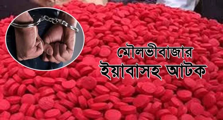 মৌলভীবাজারে ৪শ পিস ইয়াবাসহ আটক ১