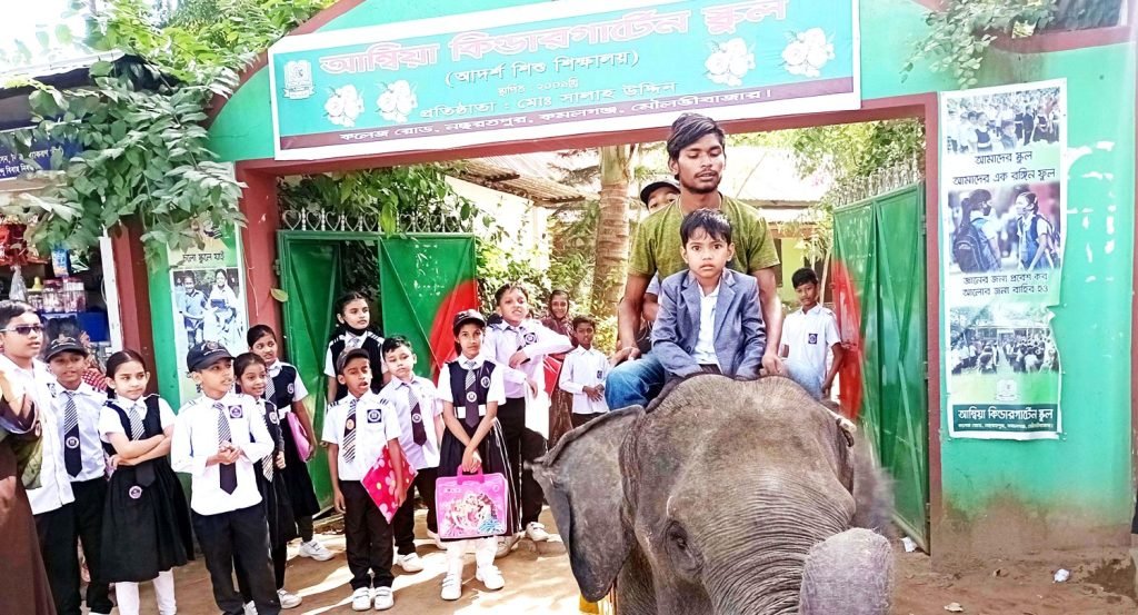 ভাগনী-ভাগিনার শেষ পরীক্ষার আনন্দে স্কুলে হাতি নিয়ে হাজির মামা!