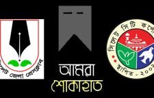 সাংবাদিক সালমান ফরিদের মাতৃবিয়োগ