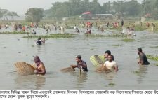 বিশ্বনাথের বড় বিলে দিনভর পলো বাওয়া উৎসব অনুষ্ঠিত