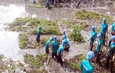 ৬০০ স্বেচ্ছাসেবক নিয়ে নদী পরিষ্কারে ব্যারিস্টার সুমন