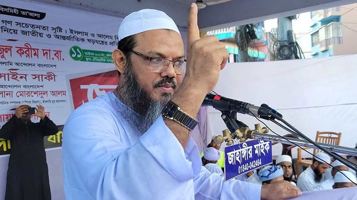 ভোট না দিয়ে সরকারকে লাল কার্ড দেখিয়েছে জনগণ : পীর চরমোনাই