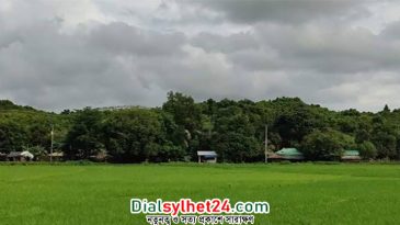 সীমান্তে এক দিনে ৫ বাংলাদেশি গুলিবিদ্ধ