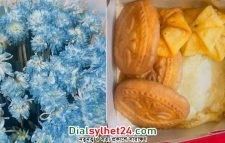 নির্বাচন বর্জনকারী দলগুলোকে শীতের পিঠা উপহার বিএনপির