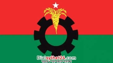 বিএনপির ভাবনায় দল পুনর্গঠন