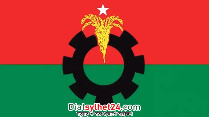 বিএনপির ভাবনায় দল পুনর্গঠন