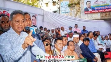 আওয়ামী লীগ ক্যু করে ক্ষমতা দখল করেছে : আমীর খসরু