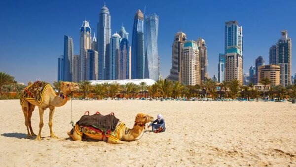 খুলছে আমিরাতের ভিজিট ভিসা, ওয়ার্ক ভিসাও চালুর ইঙ্গিত