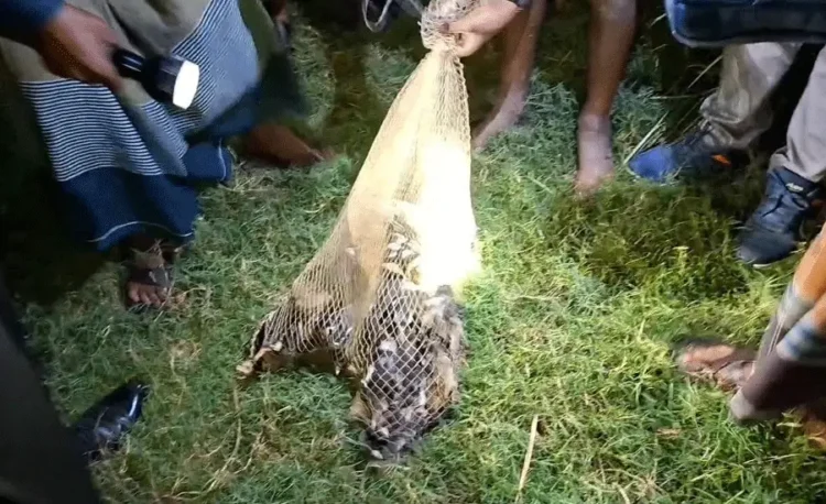 সুনামগঞ্জে শি কা রী দে র ফাঁ*দ থেকে ২০০ পাখি উদ্ধার