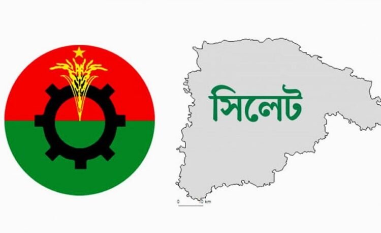 সিলেটে ভরাডুবি ১১দলীয় জোটের, ধানের শীষের জয়জয়কার