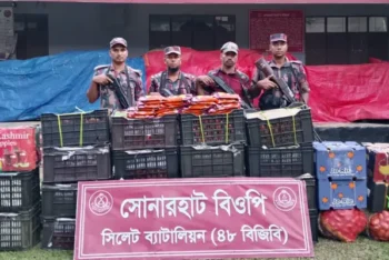 সিলেট সীমান্তে বিপুল পরিমাণ চো/রাই পণ্য জব্দ