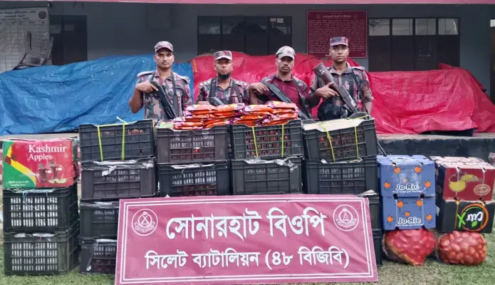 সিলেট সীমান্তে বিপুল পরিমাণ চো/রাই পণ্য জব্দ