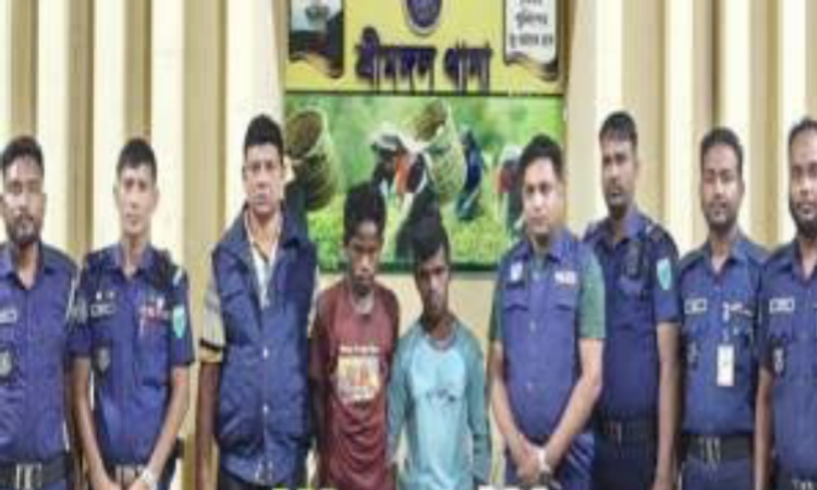 সিলেটে যে কারনে চা বাগান থেকে ৭ জন ধরলো পুলিশ