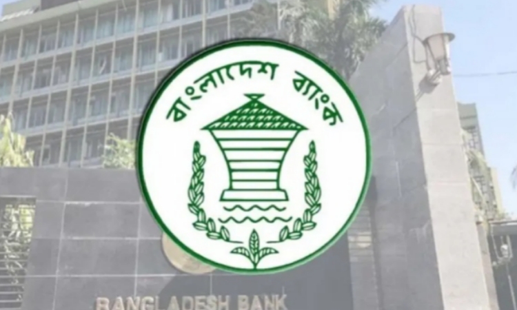 টানা তৃতীয় দিনের মতো বন্ধ কেন্দ্রীয় ব্যাংকের ওয়েবসাইট