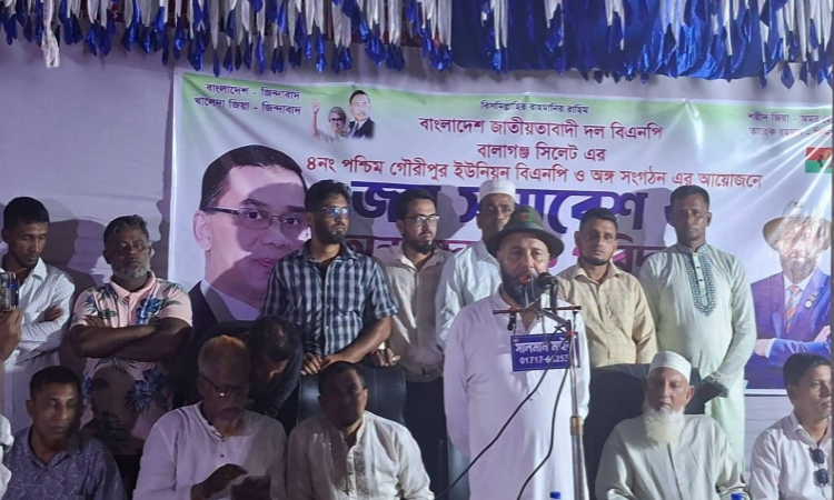 বালাগঞ্জে উন্নয়ন প্রকল্প পরিদর্শনে এমপি মালিক