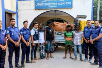 মৌলভীবাজারে চুরি হওয়া দুই গরু উদ্ধার, পিকআপসহ আটক ৪