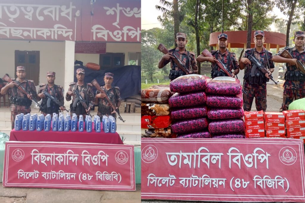 সিলেট সীমান্তে বিজিবির অভিযানে ৪৬ লাখ টাকার চোরাচালানি পণ্য আটক