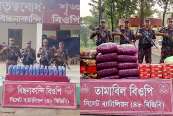 সিলেট সীমান্তে বিজিবির অভিযানে ৪৬ লাখ টাকার চোরাচালানি পণ্য আটক