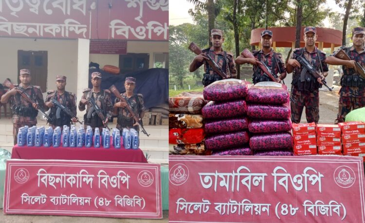 সিলেট সীমান্তে বিজিবির অভিযানে ৪৬ লাখ টাকার চোরাচালানি পণ্য আটক
