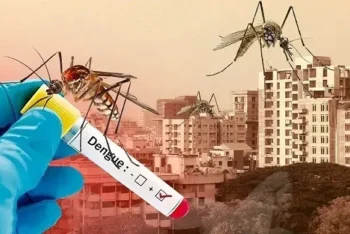 ডেঙ্গুতে একদিনে ৫ মৃত্যু, হাসপাতালে ভর্তি ১৩৬৬