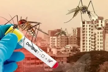 ডেঙ্গুতে আরও ৭ জনের মৃত্যু, হাসপাতালে ভর্তি ১৩৭৩